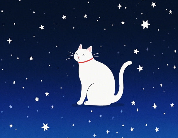 Love horoscope for today (March 26): an emotional guide for the 12 signs of the zodiac