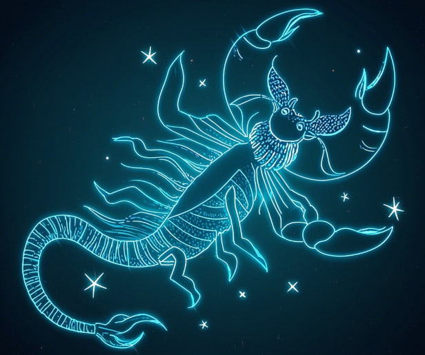 Capricorn (12.22 - 1.19)