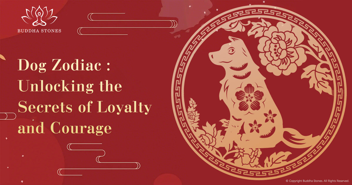Daily Dog Chinese Horoscope: A relaxing day with good luck creeping in