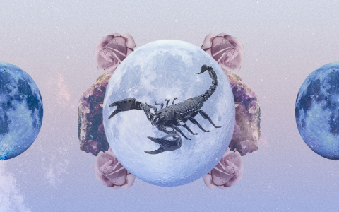 30 Oct Zodiac Love Match Guide: Best Partners for Scorpio People