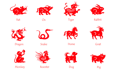What Is Canine Astrology? Fun Facts About Dog Zodiac Signs!