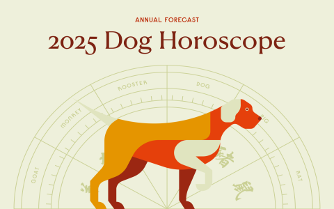 Horoscope December 9th Luck Guide: Is It a Good Day for You? (Find Out Now!)