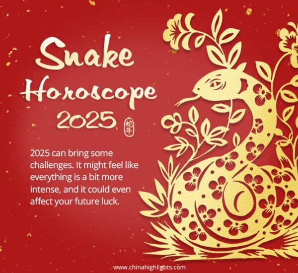 Gemini Snake Horoscope 2025