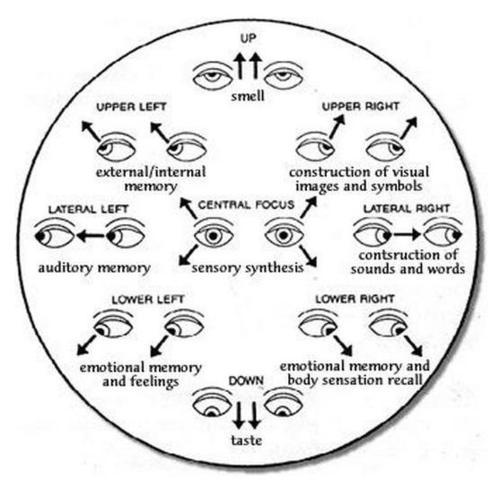 What Do Eyes Represent Meanings You Should Know for Body Language