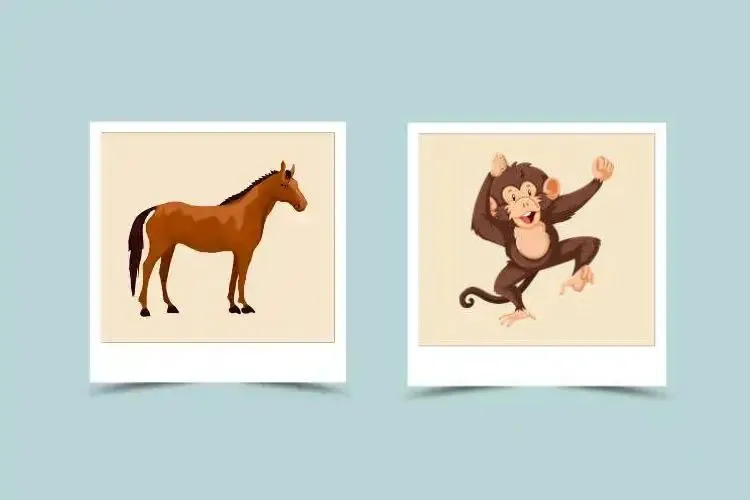 Chinese zodiac monkey and horse compatibility