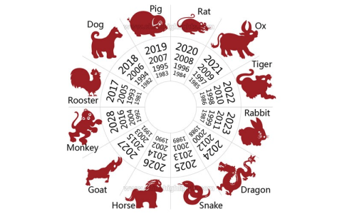 Horoscope for July 25 how to read it? (Simple guide for all signs)