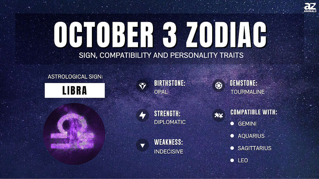 October 3 Horoscope Guide: Key Insights for Every Zodiac Sign